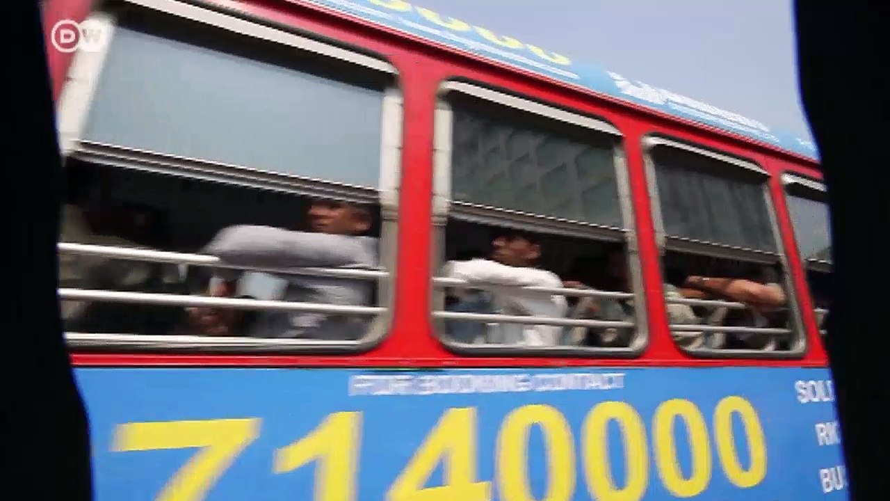 Mumbai will seine Flamingos schützen | Wissen & Umwelt