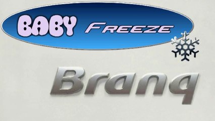 "Baby Freeze de chez Brank" - par The Fabulous Flying Pig Mega Team