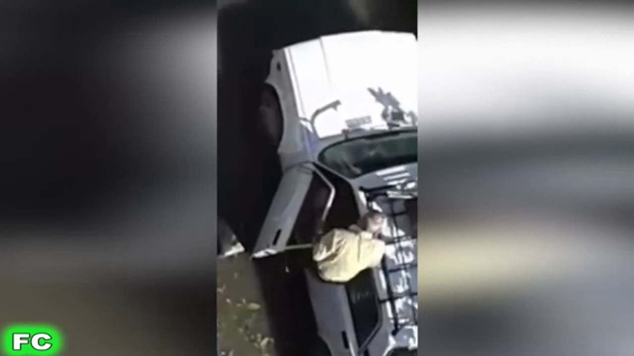 Top Best WIN FAIL Compilation  ★ Funny FAIL and WIN Videos