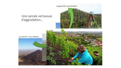 Formation MSV K Schreiber 01/2016 - Partie 5 Carbone, azote et auto-fertilité