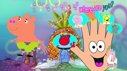 Peppa Pig spongebob Finger Family - Nursery Rhymes Lyrics Kids Songs