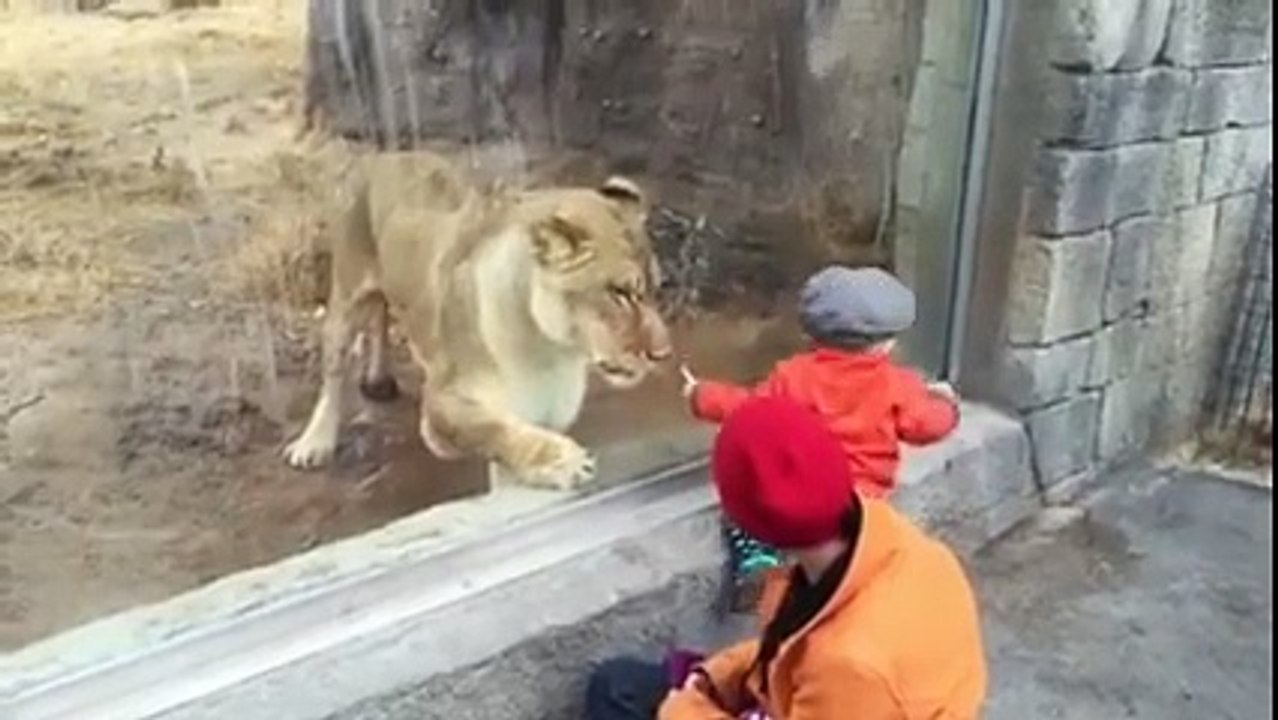 He felt the beast