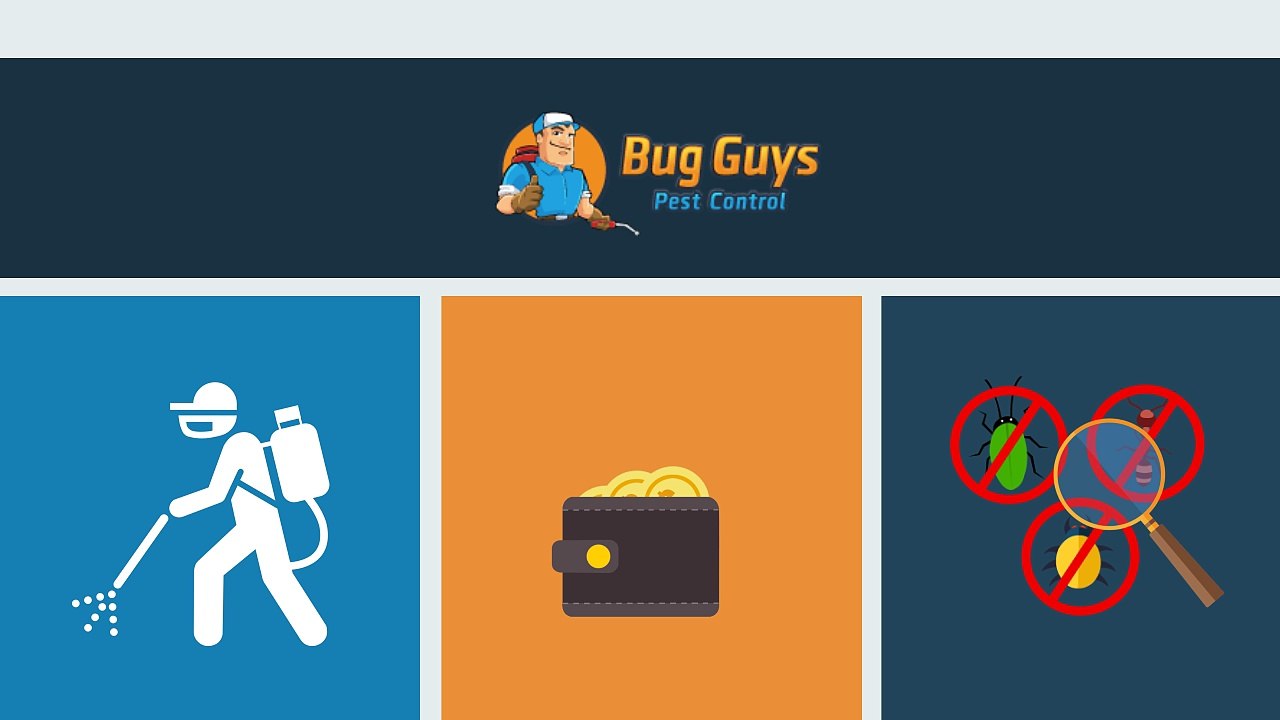 Bug Guys Pest Control