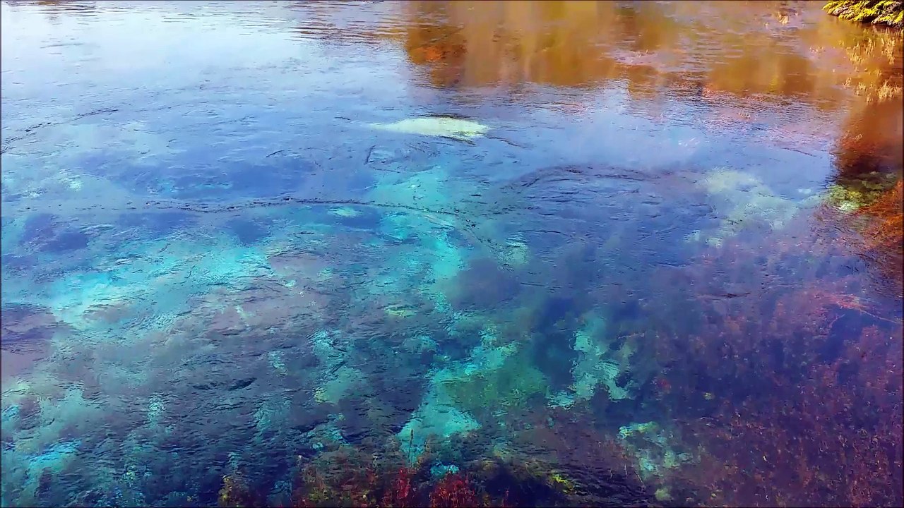 Neuseeland - Ein paar Eindrücke
