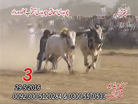 T.A.M.A.S.H.A 3rd Time at Pather GerhCH Ishaq and Ch Aftab 29-05-2016