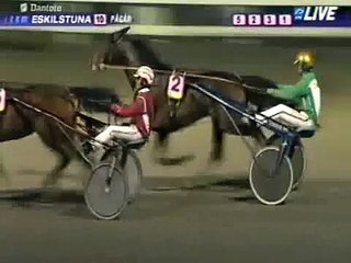 Breeders Crown Sweden 3Y Trot 2011 -Perfectly Enough