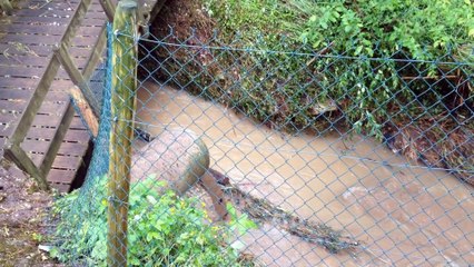Inondations dans le Doullennais