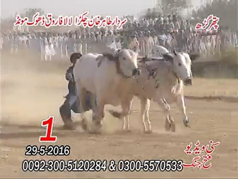 T.A.M.A.S.H.A 1st Time at Pather GerhSardar Tahir Khan Lala Farooq Dhok Mond