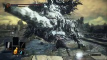 Dark Souls 3: Breaking the Stray Demon's legs