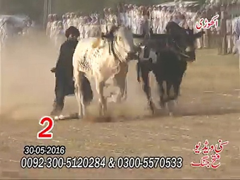 T.A.M.A.S.H.A 2nd Time at Akhori