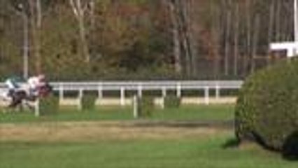 Le cross-country au Pont Long