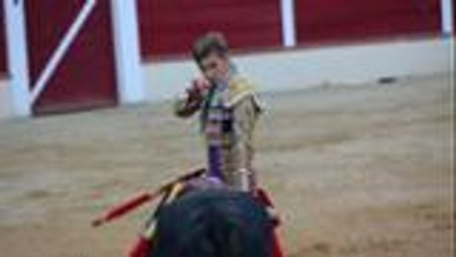 Novillada de Garlin avec le matador Younes