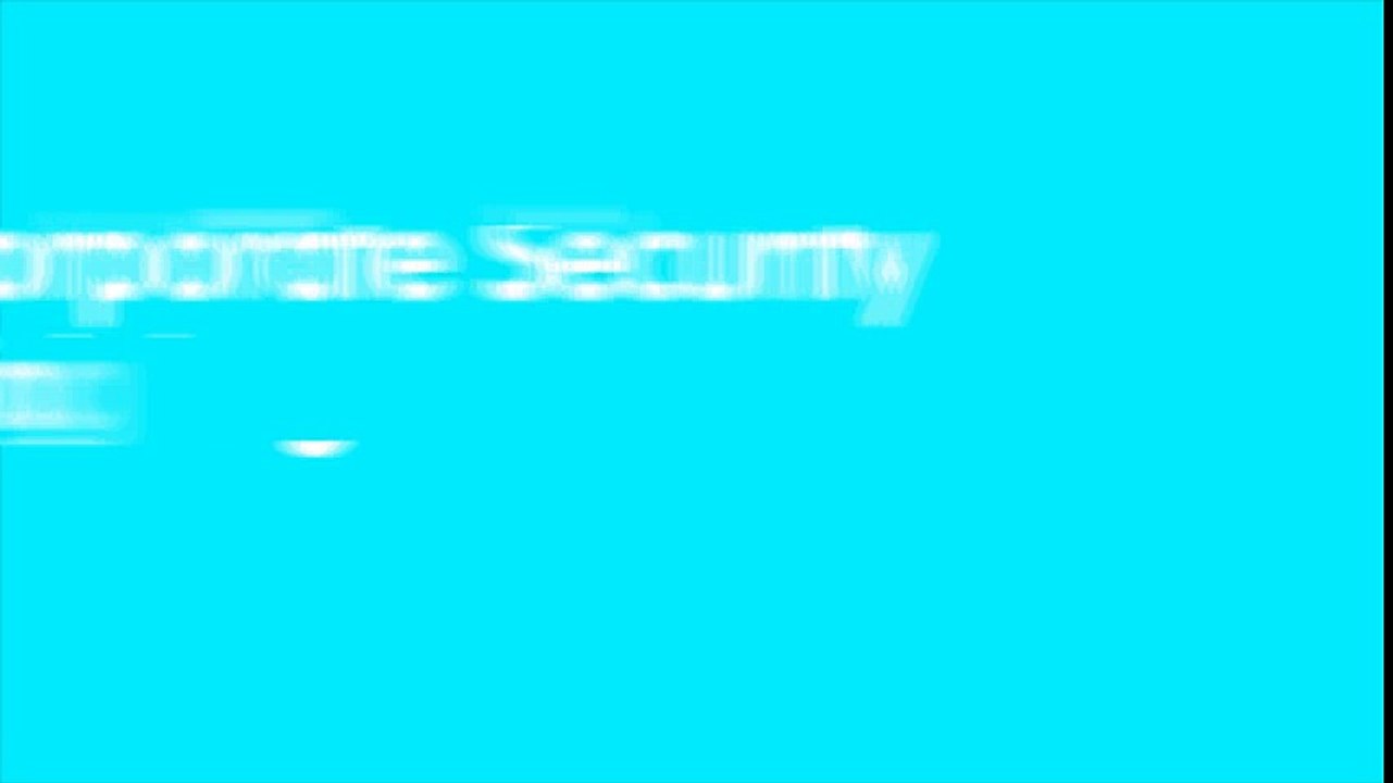 Executive Travel Security