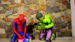 Spiderman Incredible Hulk Peppa Pig Case Princess Cindirella Toys Super Hero In Real Life IRL