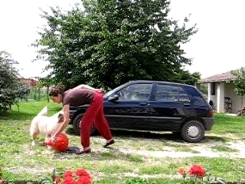 Video apie plot rouge