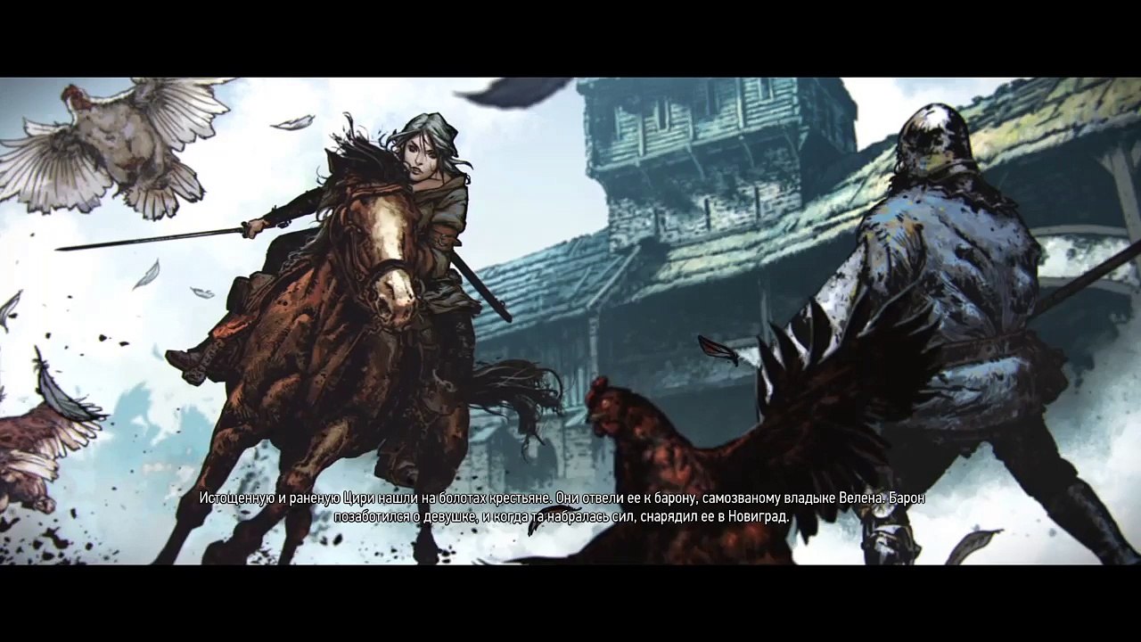 Witcher 3 (20)