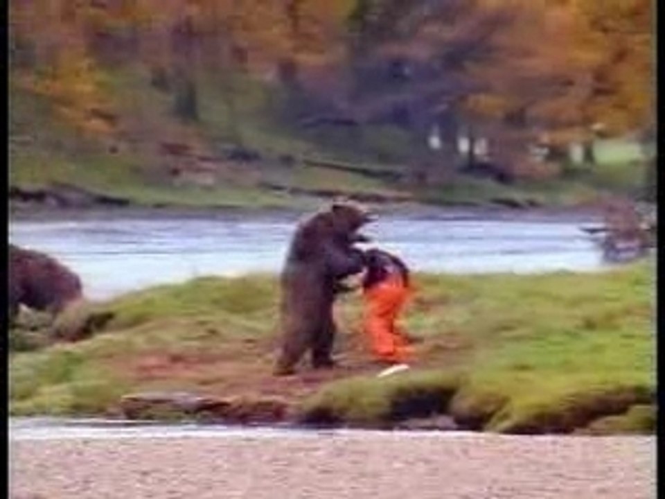 BEAR