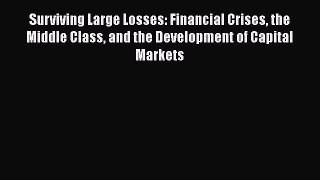 Read Surviving Large Losses: Financial Crises the Middle Class and the Development of Capital