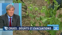Intempéries: Stéphane Le Foll promet des aides aux viticulteurs