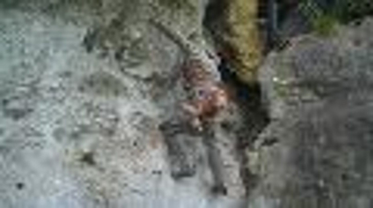 escalade aux eaux claires 2