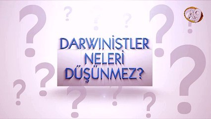 Darwinistler neleri düşünmez? -9- (Polenler)