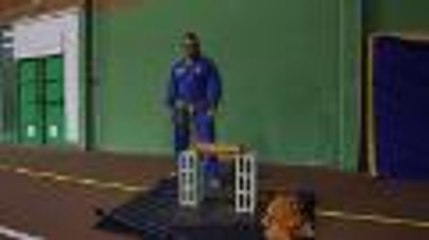 il casse des tuiles avec son tibia