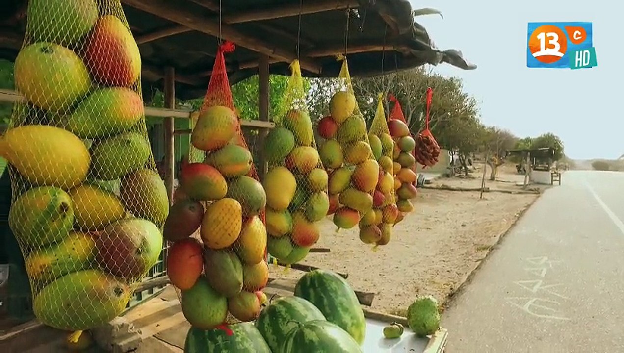 CulinC9 Colombia