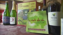 Une carte de la "Route du vin" en province de Liège désormais disponible