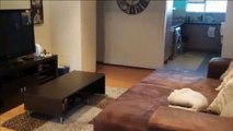 2 Bedroom Townhouse For Rent in Bassonia, Johannesburg South, South Africa for ZAR 8,000 per mont...