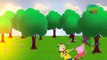 Peppa Pig y Caillou son novios? Dibujos animados para niños