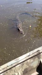 Heavey's Politically Incorrect Memorial Day Video