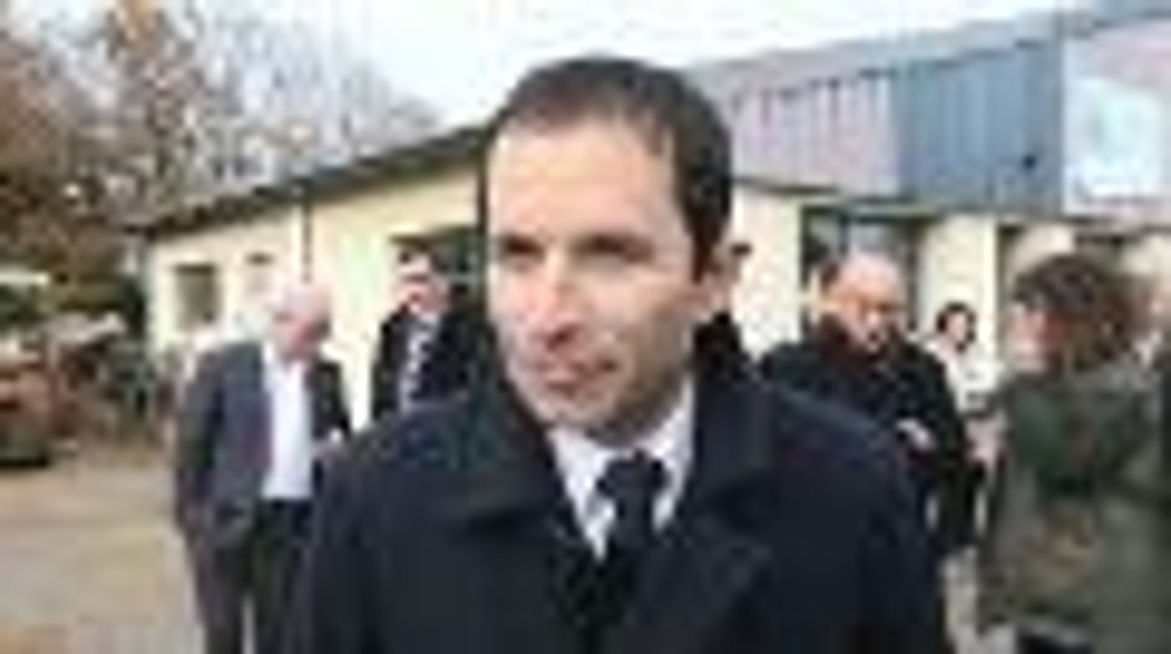 Benoît Hamon en visite à Serres-Castet