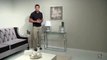 Euro Style Sandor Console Table Clear - Product Review Video