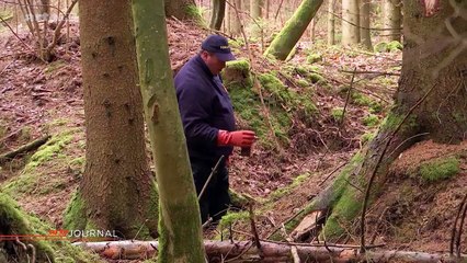 Verdun les démineurs des champs de bataille ARTE Info