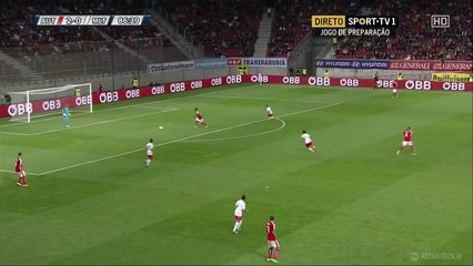 David Alaba Funny Own Goal - Austria vs Malta 2-1 2016
