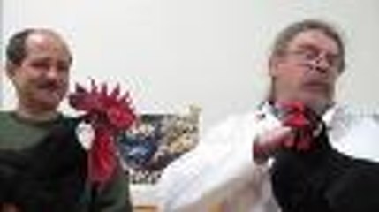 Eleveurs de poules de Barbezieux et fiers de l'être