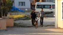 Sakarya-Köpekle Yapılan Aramadan da Sonuç Alınamadı