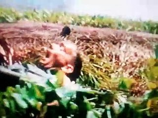 Forrest Gump: Pelea de guerra a muerte (Español Latino)