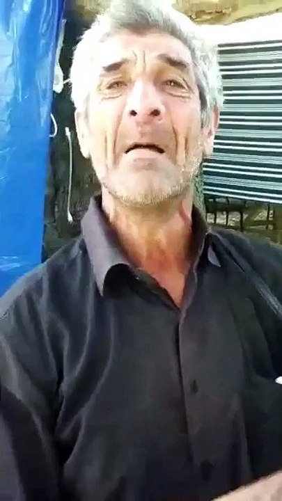 Prikol