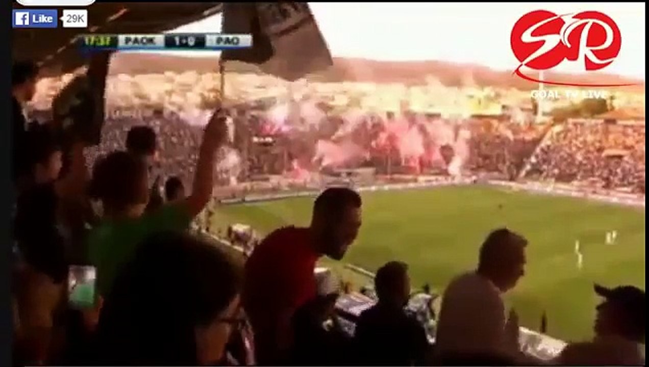 PAOK Thessaloniki FC vs Panathinaikos 1-1 All Goals & Highlights HD 31.05.2016