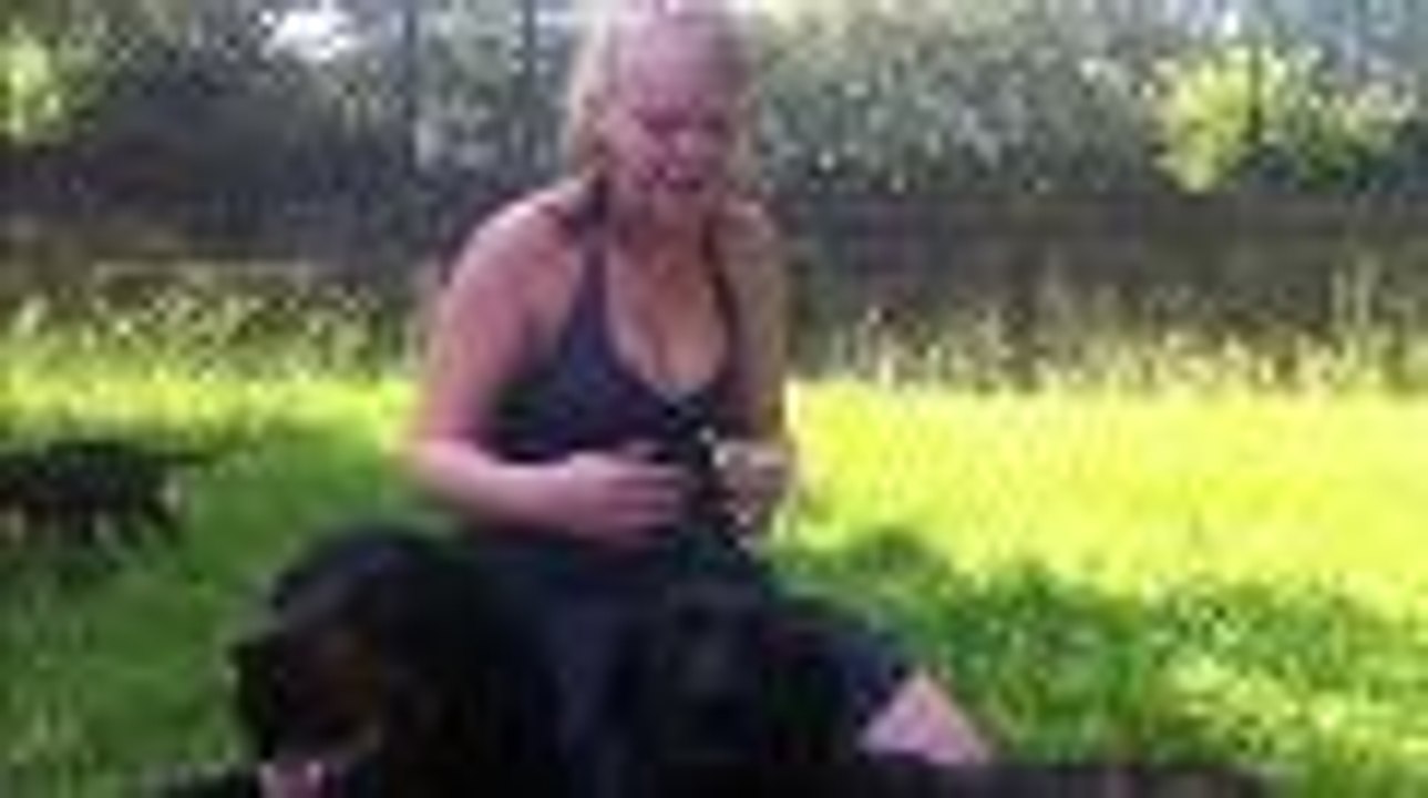 Les quatre chiots rendus à leurs propriétaires