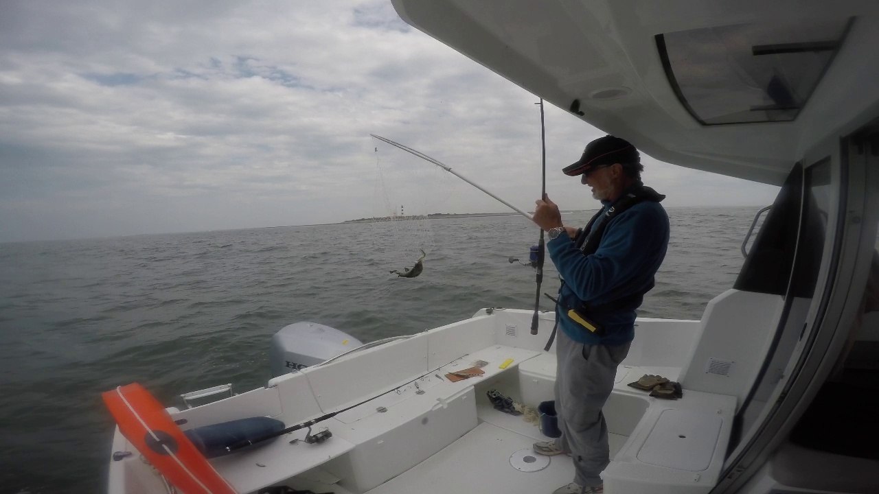 Une vieille prise au leurre souple, Chassiron, Oléron.