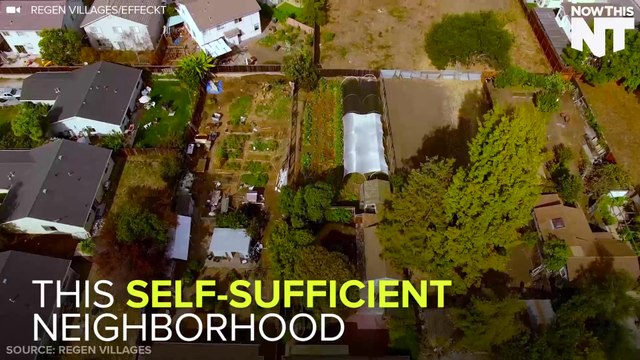 Self-Sustaining Neighborhood Produces Its Own Power And Food