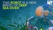 This Humanoid Robot Is A Deep Sea Explorer