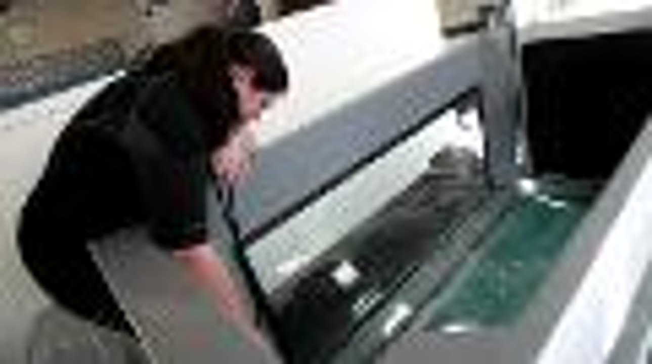 Hydromassage pour les chiens