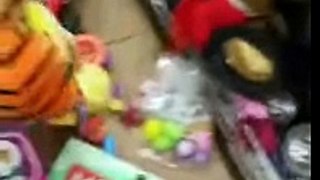 Toy surprise egg goodwill hunting