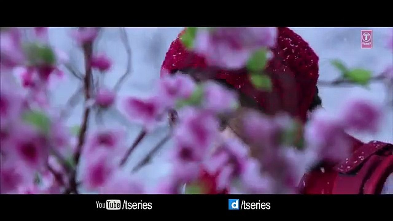 SANAM RE Song (VIDEO) - Pulkit Samrat, Yami Gautam, Urvashi Rautela, Divya Khosla Kumar