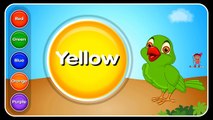 How to Teach Colors to Children with Talking Parrot? | Preschool Learning Videos | Color Lesson