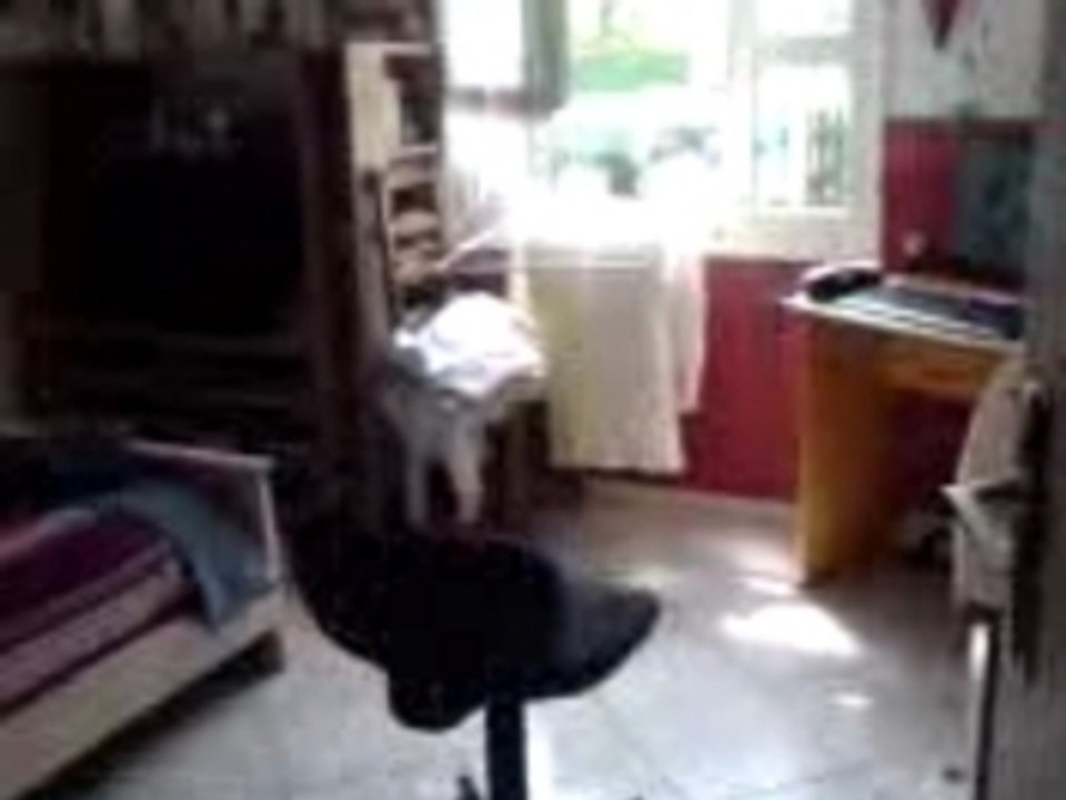 invisible lol