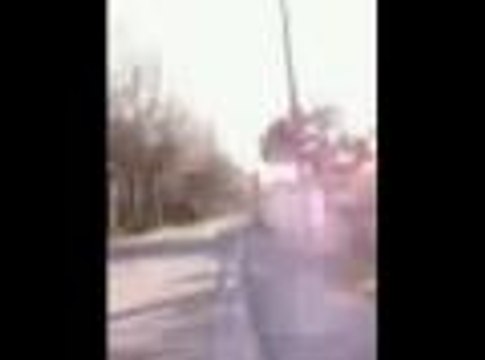 Cognac: un éléphant s'échappe du cirque Amar